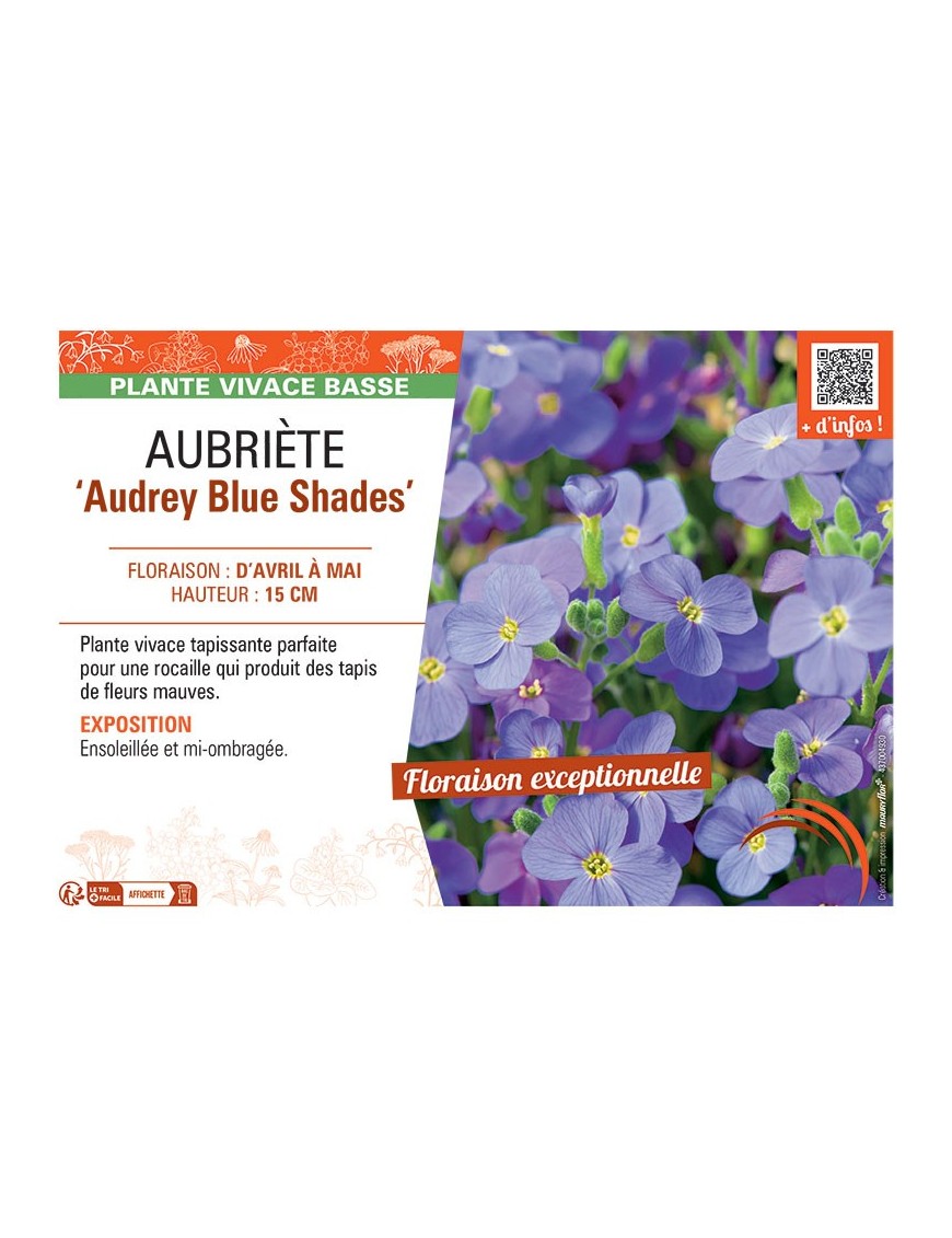 AUBRIETE AUDREY BLUE SHADES