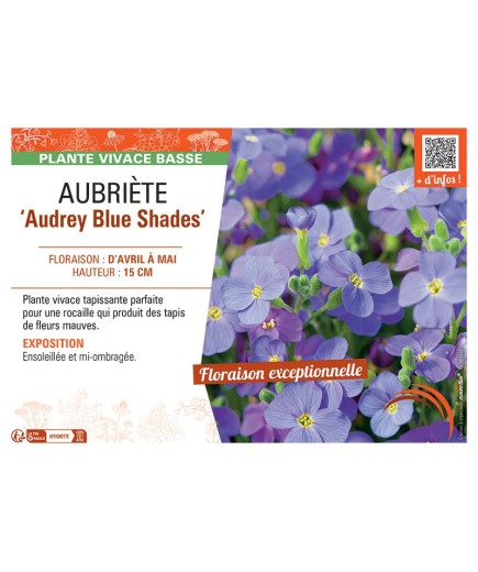AUBRIETE AUDREY BLUE SHADES