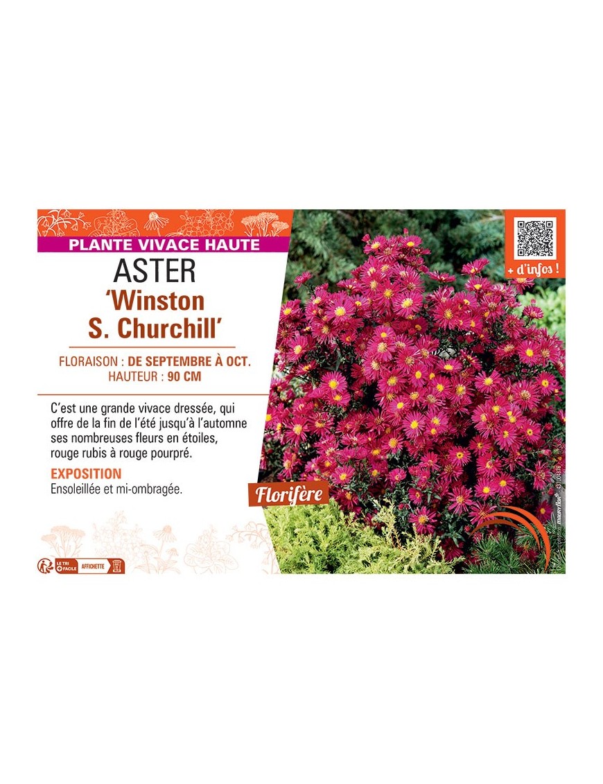 ASTER WINSTON S. CHURCHILL