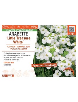 ARABETTE LITTLE TREASURE WHITE