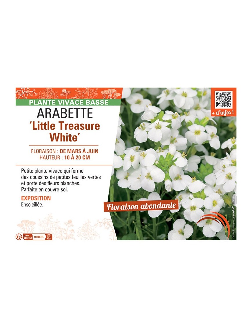 ARABETTE LITTLE TREASURE WHITE