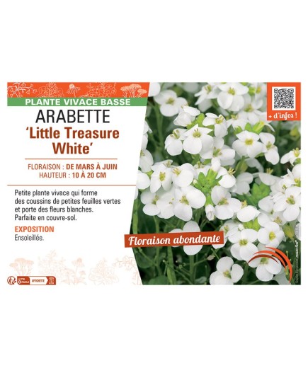 ARABETTE LITTLE TREASURE WHITE