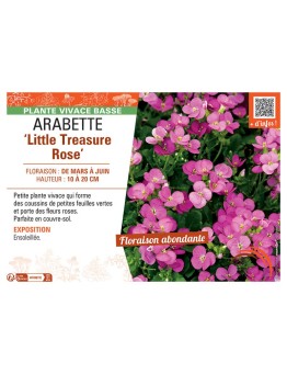 ARABETTE LITTLE TREASURE ROSE