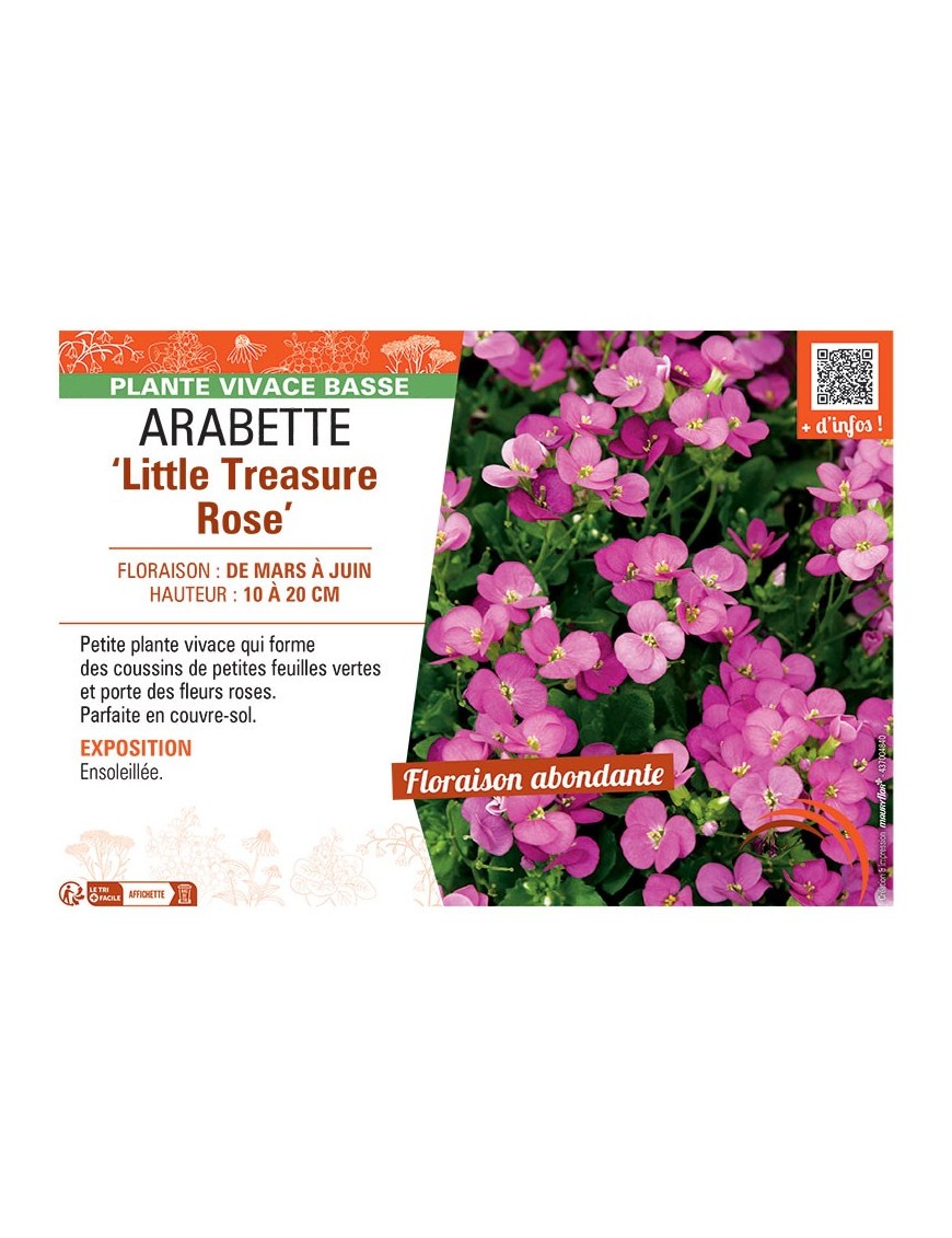ARABETTE LITTLE TREASURE ROSE