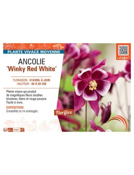 ANCOLIE WINKY RED WHITE
