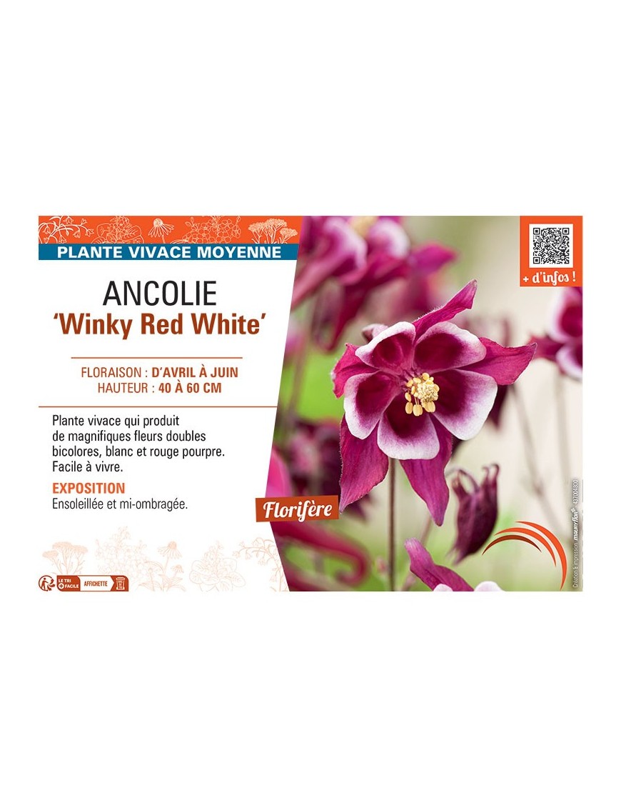 ANCOLIE WINKY RED WHITE