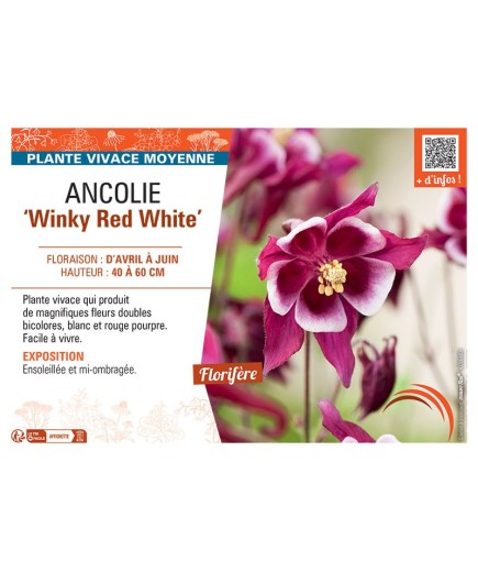 ANCOLIE WINKY RED WHITE