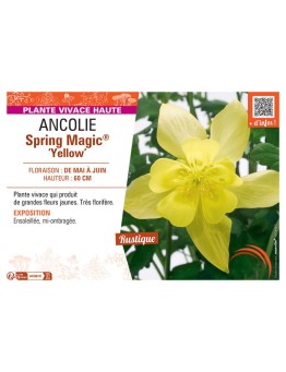 ANCOLIE SPRING MAGIC® YELLOW