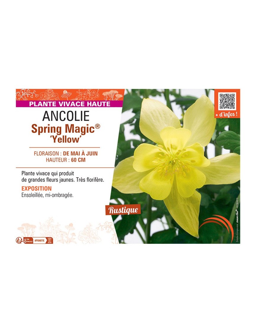 ANCOLIE SPRING MAGIC® YELLOW