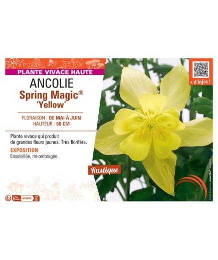 ANCOLIE SPRING MAGIC® YELLOW