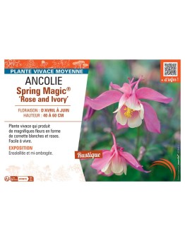ANCOLIE SPRING MAGIC® ROSE AND IVORY
