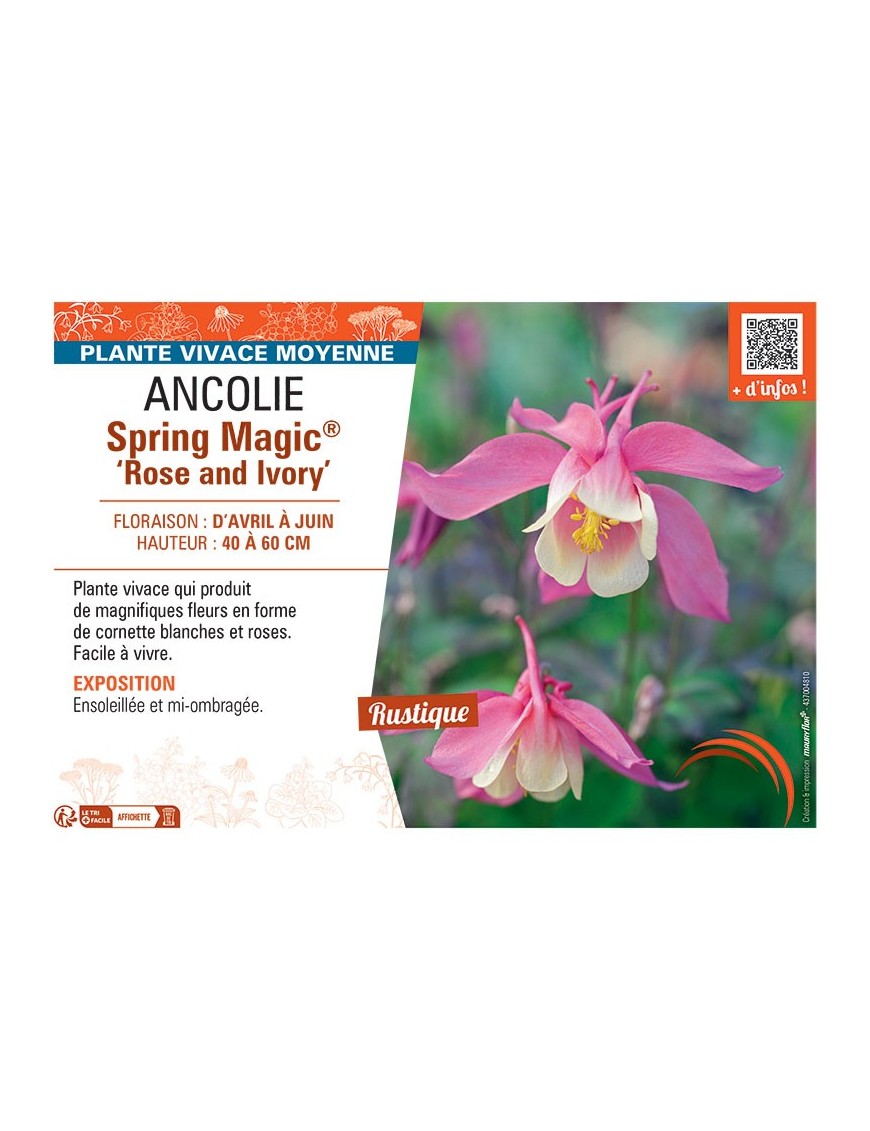 ANCOLIE SPRING MAGIC® ROSE AND IVORY