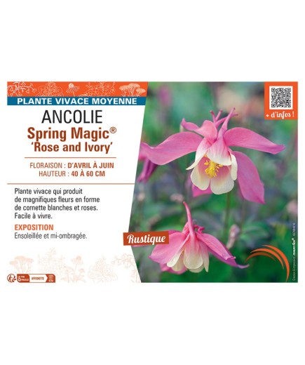ANCOLIE SPRING MAGIC® ROSE AND IVORY