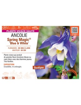 ANCOLIE SPRING MAGIC® BLUE AND WHITE