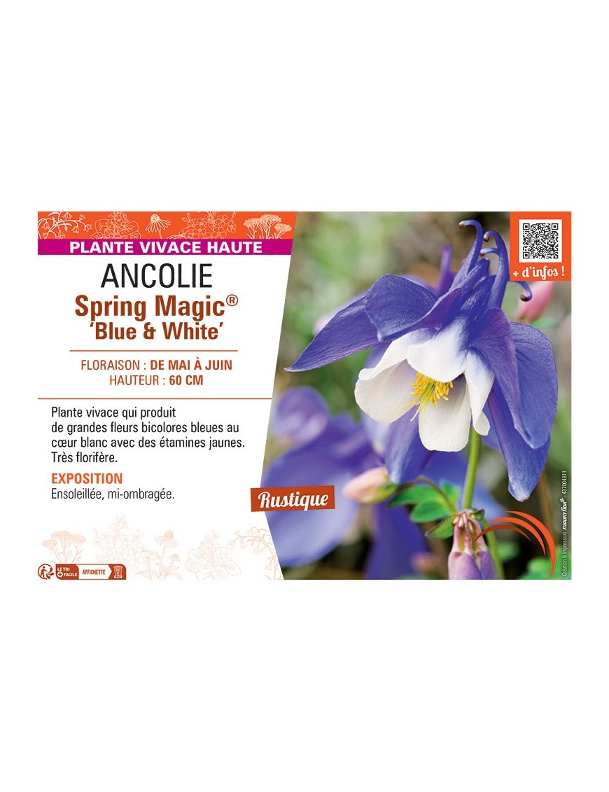 ANCOLIE SPRING MAGIC® BLUE AND WHITE