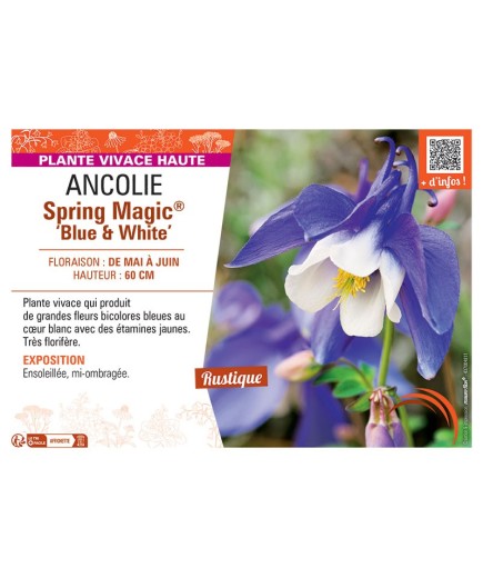 ANCOLIE SPRING MAGIC® BLUE AND WHITE