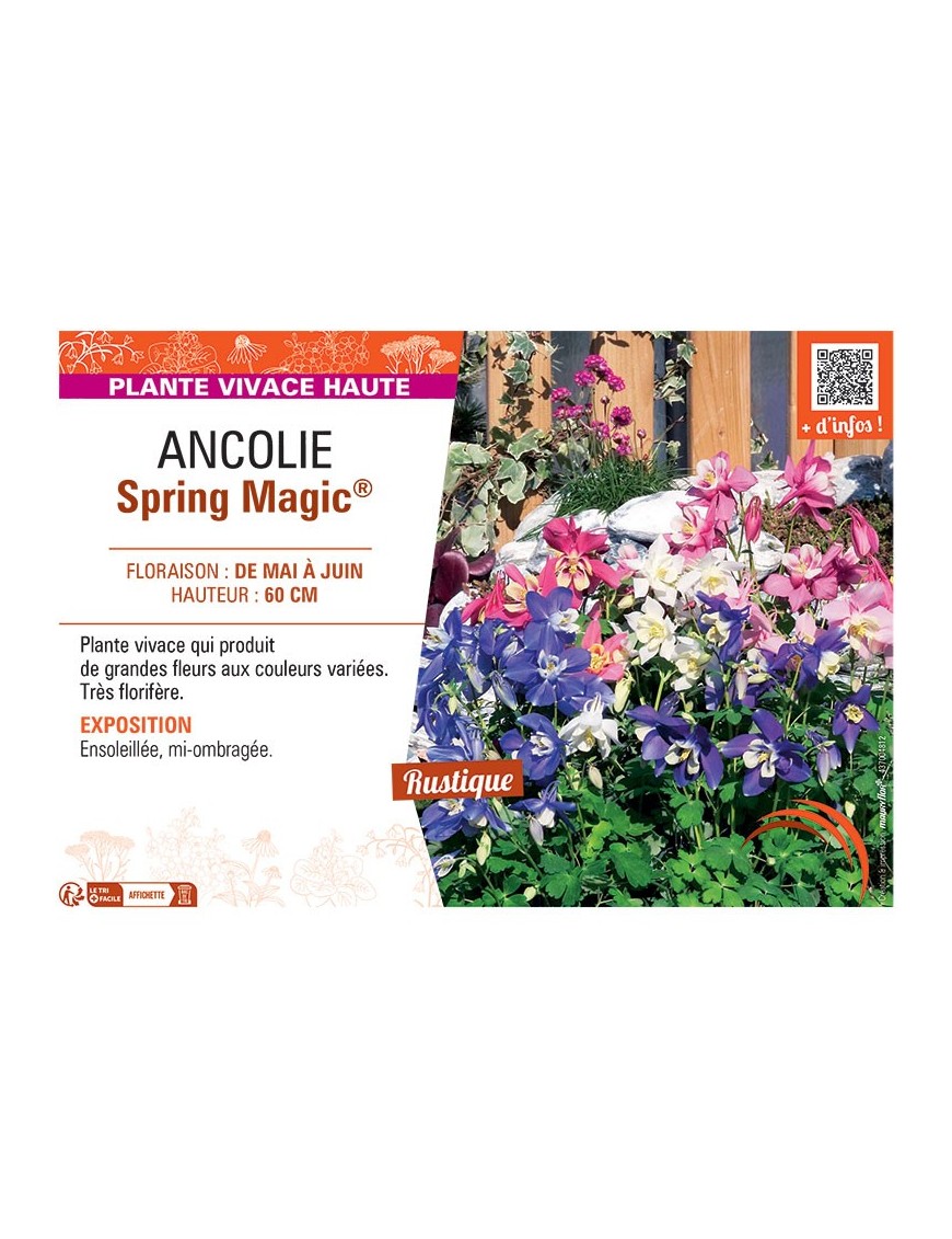 ANCOLIE SPRING MAGIC® (variée)