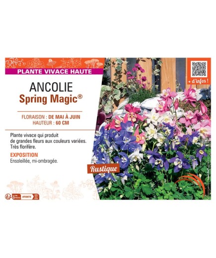 ANCOLIE SPRING MAGIC® (variée)