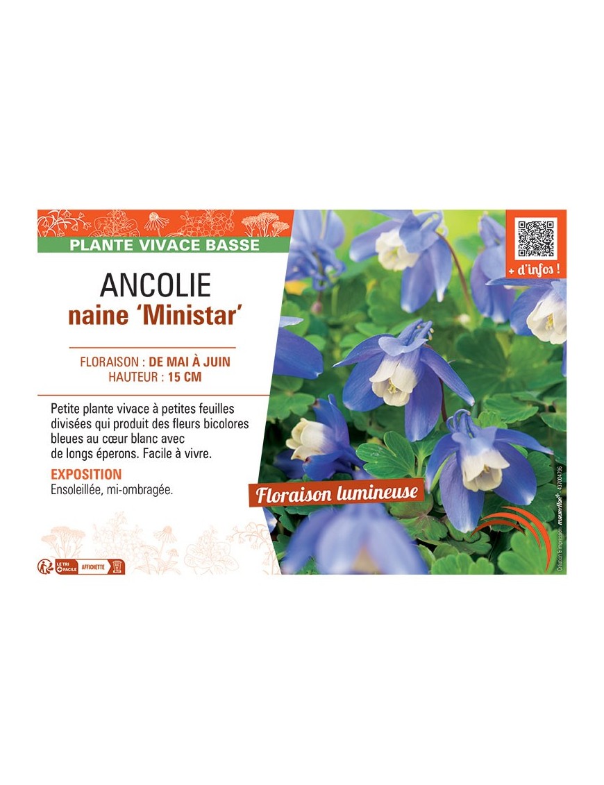 ANCOLIE NAINE MINISTAR