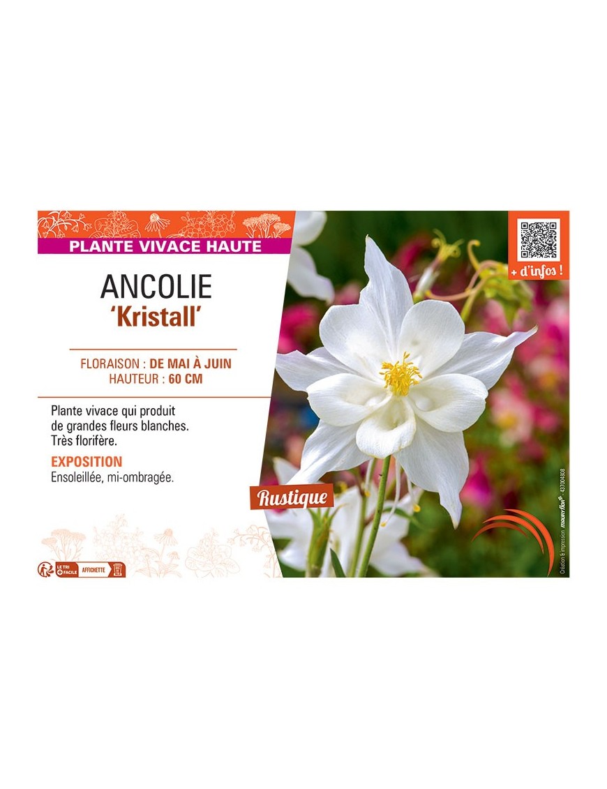 ANCOLIE KRISTALL