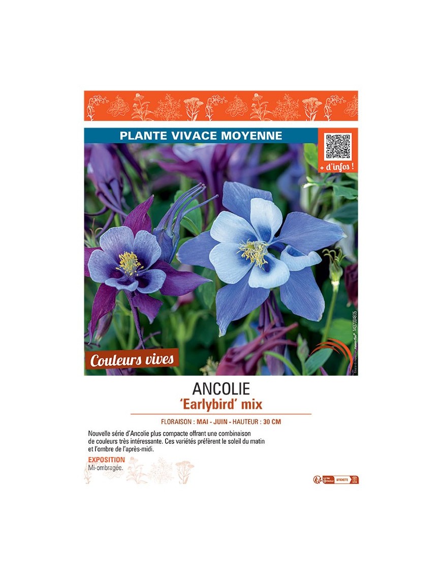 ANCOLIE EARLYBIRD MIX