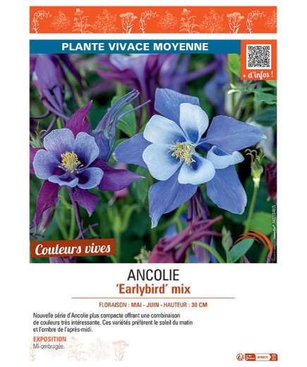ANCOLIE EARLYBIRD MIX