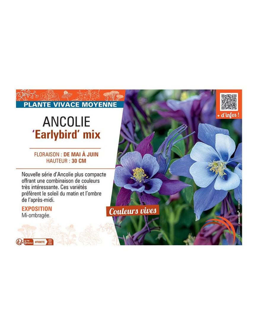 ANCOLIE EARLYBIRD MIX