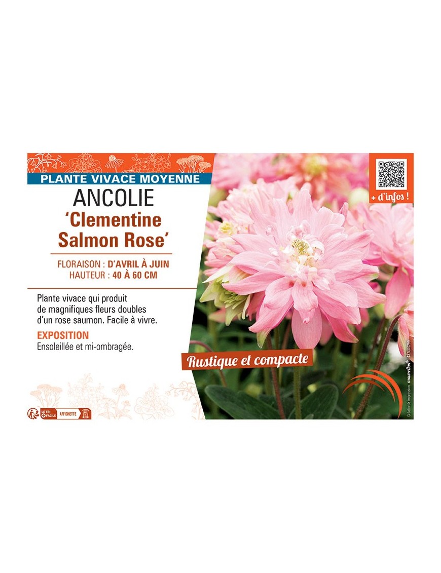 ANCOLIE CLEMENTINE SALMON ROSE