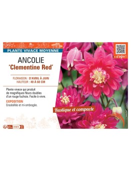 ANCOLIE CLEMENTINE RED