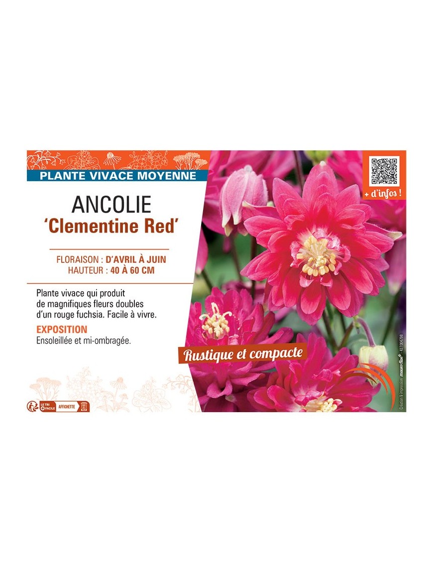 ANCOLIE CLEMENTINE RED