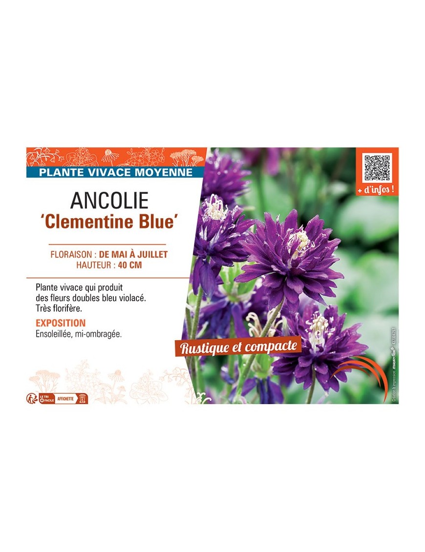 ANCOLIE CLEMENTINE BLUE