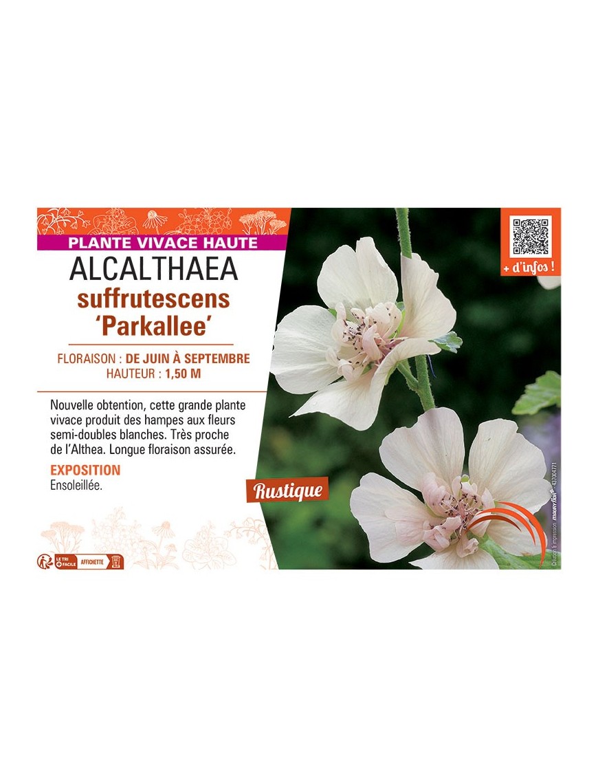 ALCALTHAEA SUFFRUTESCENS PARKALLEE