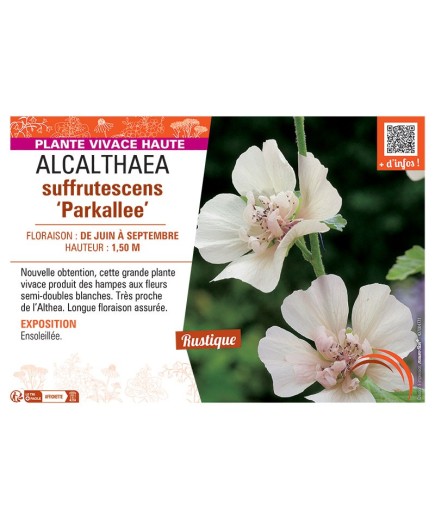 ALCALTHAEA SUFFRUTESCENS PARKALLEE