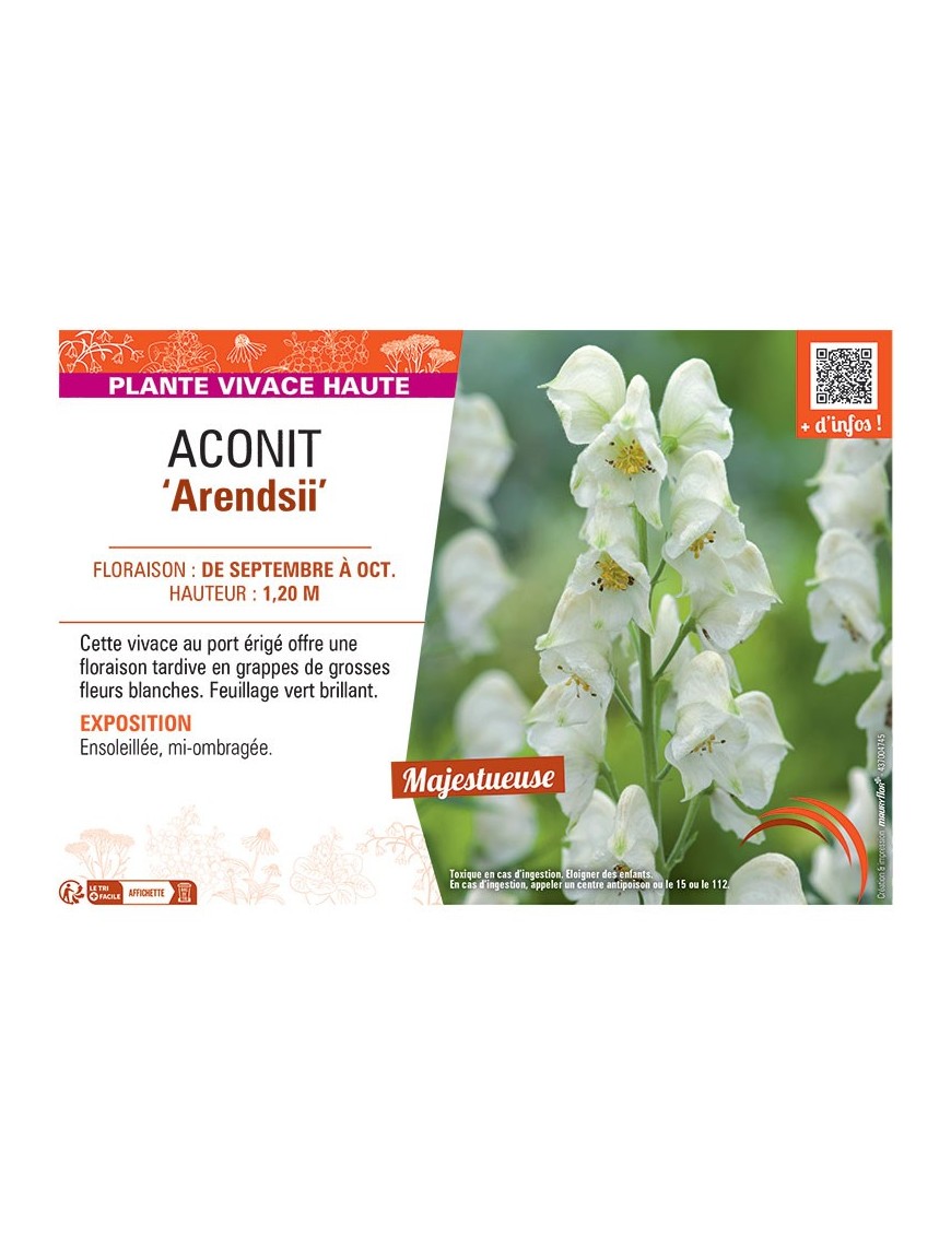 ACONIT ARENDSII (blanc)