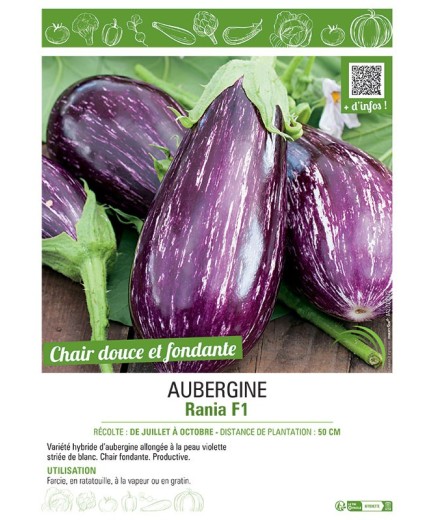AUBERGINE RANIA F1
