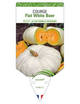 COURGE FLAT WHITE BOER