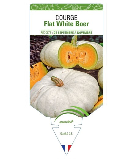 COURGE FLAT WHITE BOER