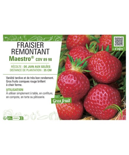 FRAISIER MAESTRO® COV 89 98