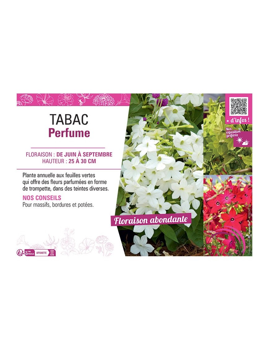 TABAC PERFUME