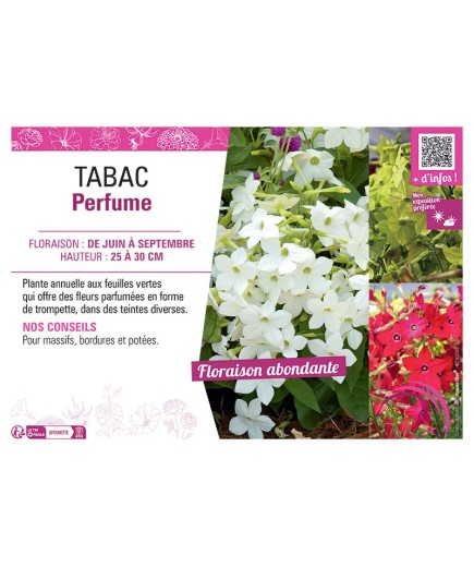 TABAC PERFUME