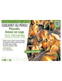 COQUERET DU PÉROU