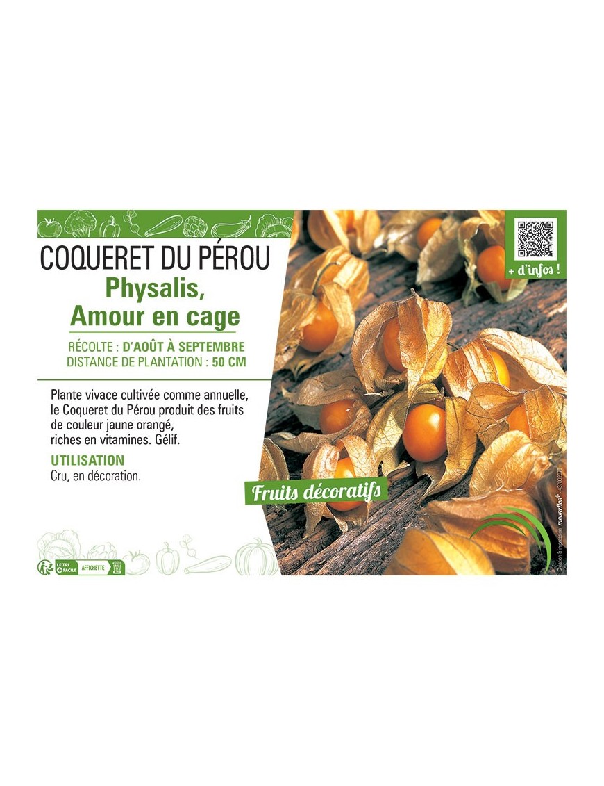 COQUERET DU PÉROU