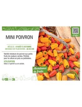 MINI POIVRON