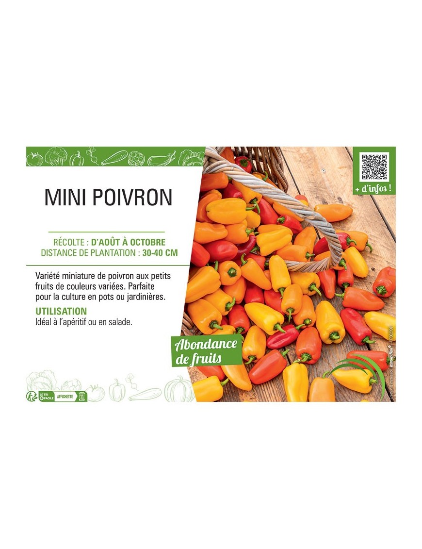 MINI POIVRON