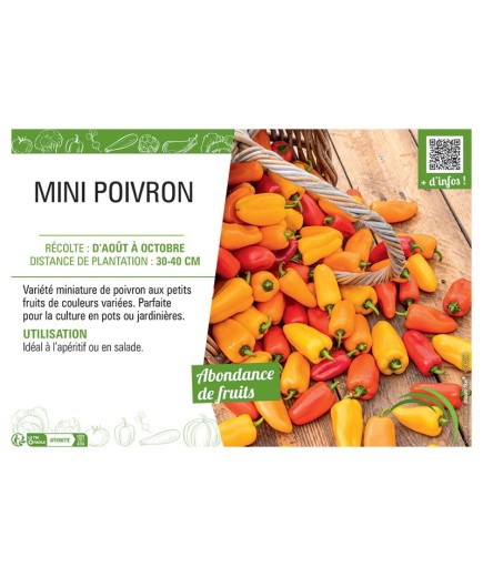 MINI POIVRON