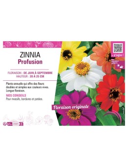 ZINNIA PROFUSION