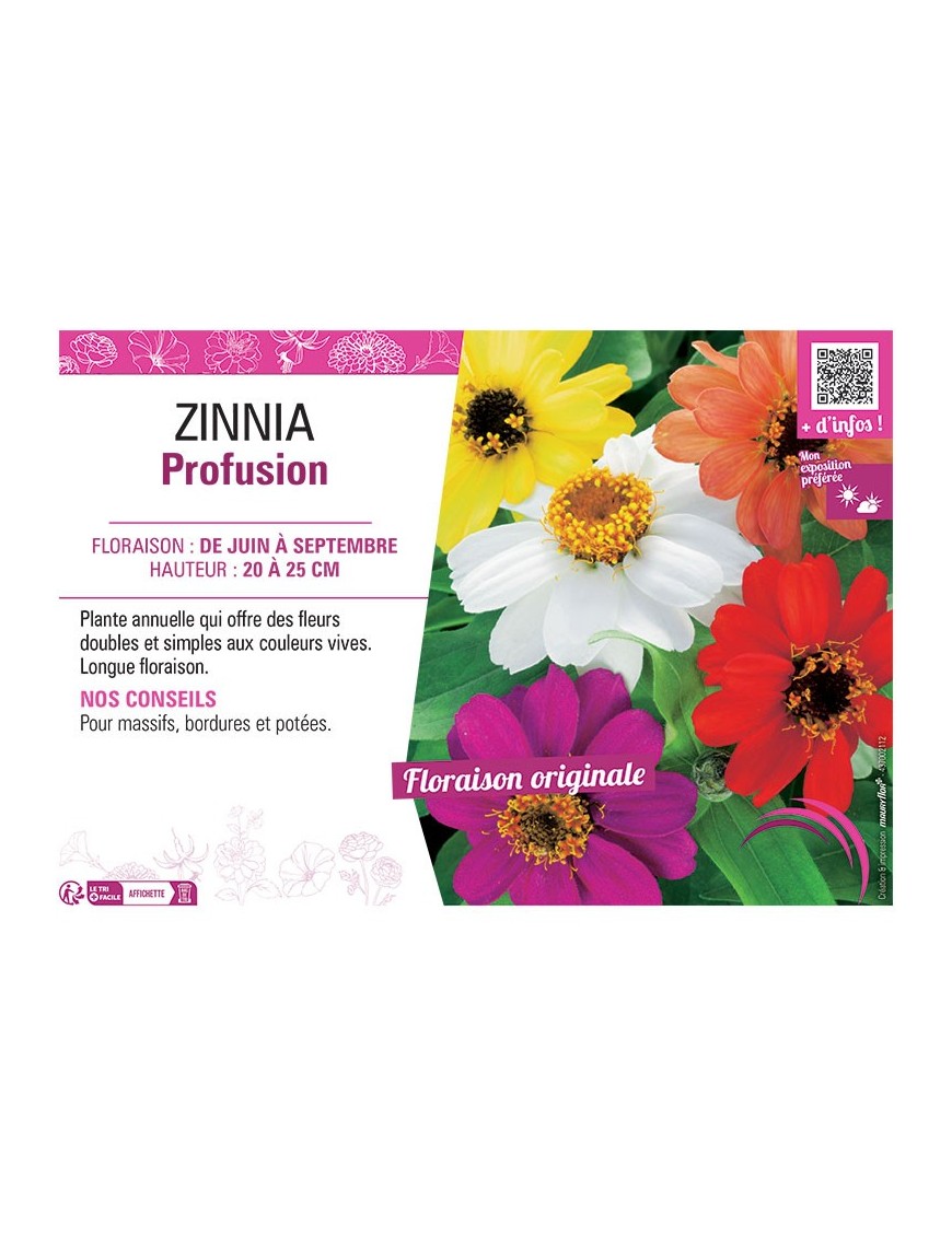 ZINNIA PROFUSION