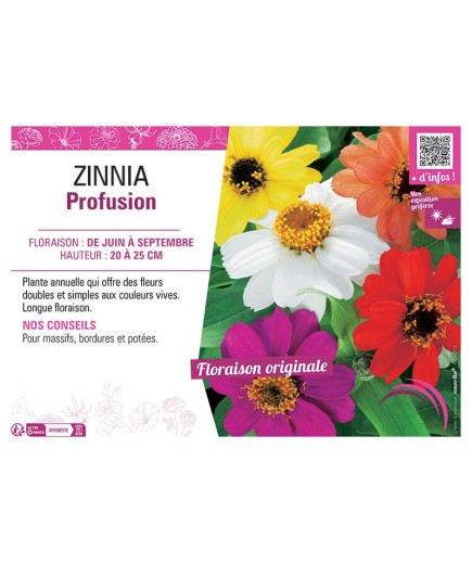 ZINNIA PROFUSION