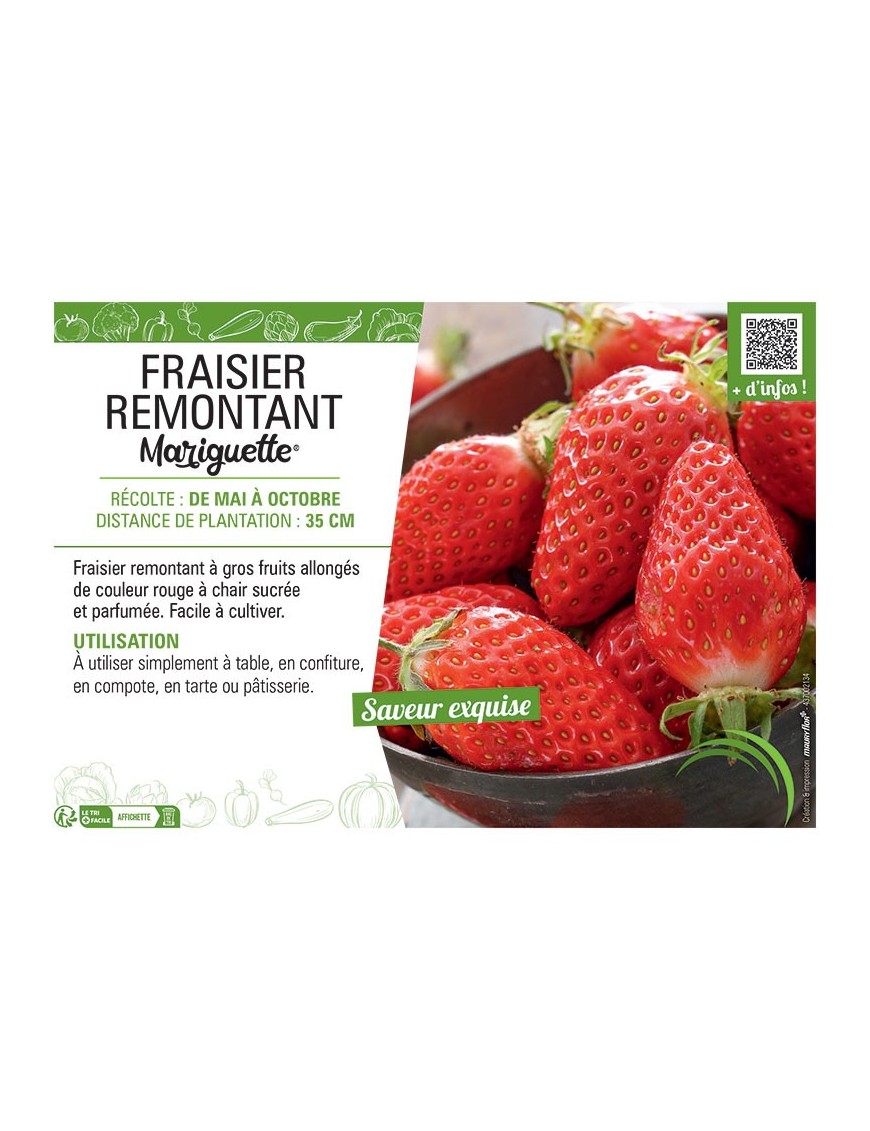 FRAISIER MARIGUETTE®