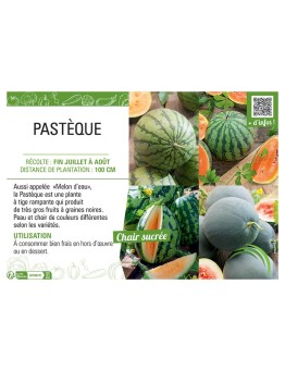 PASTÈQUE